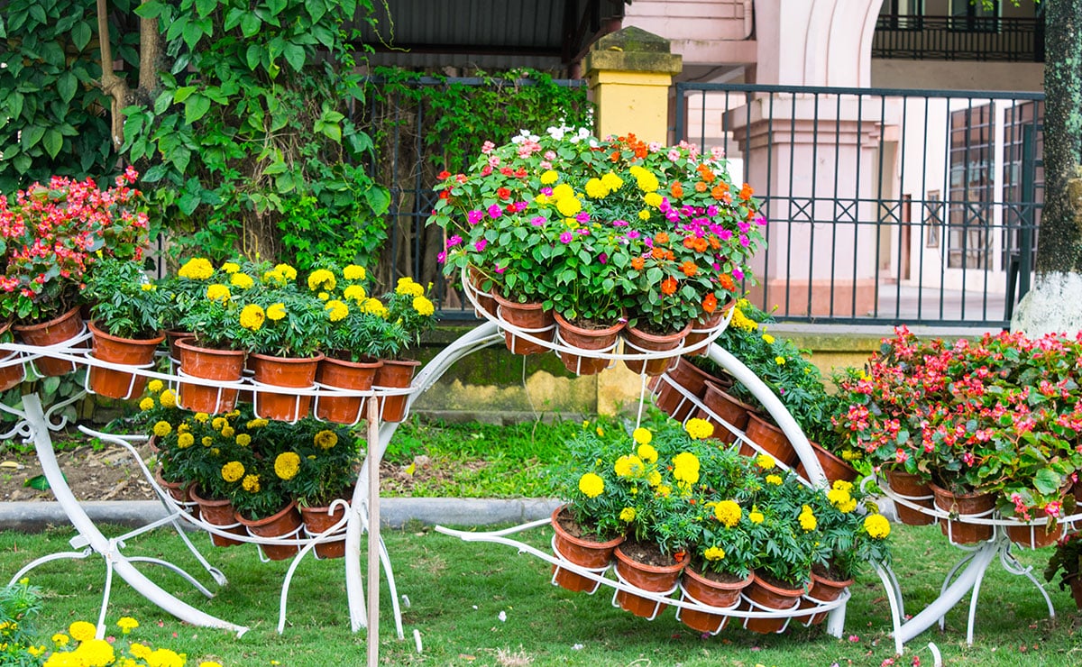 ����԰�ֶ����׼