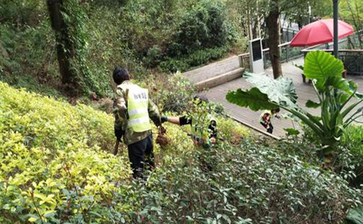 �̻�ʩ������