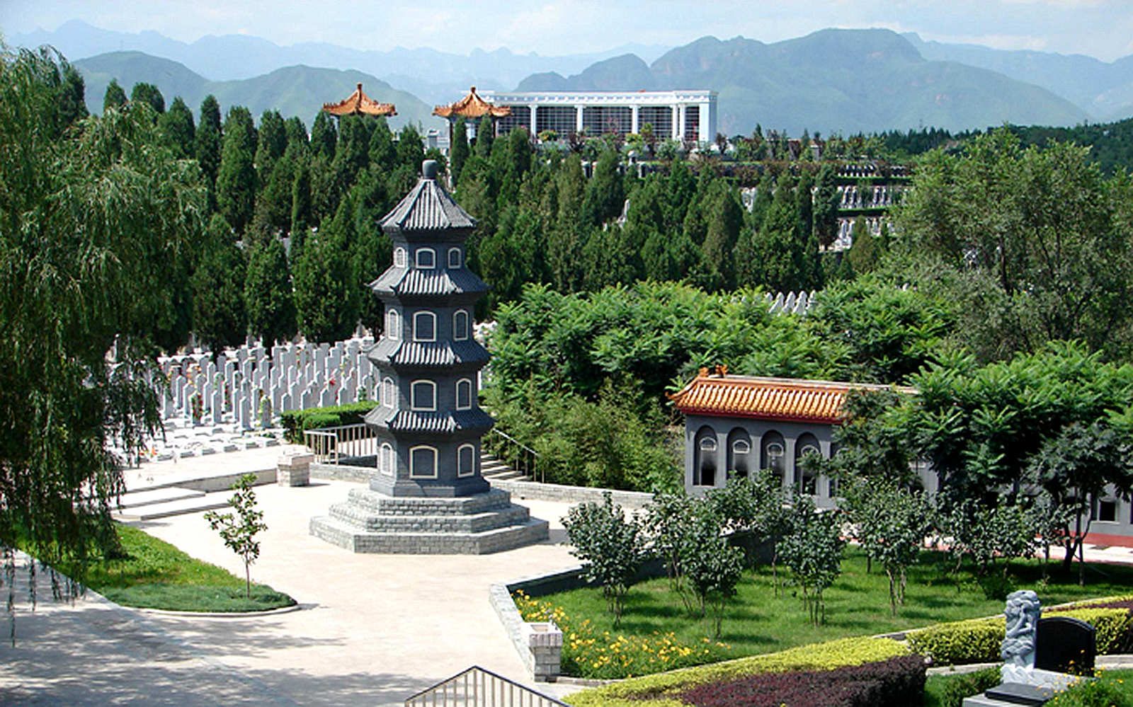 ������ɽ����Ĺ԰�̻�����