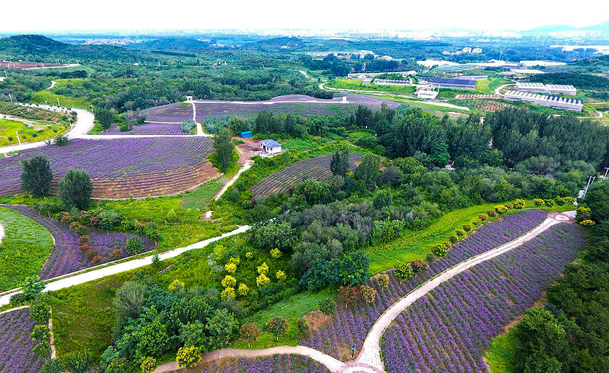 ��������Ӫ�´��̻�����