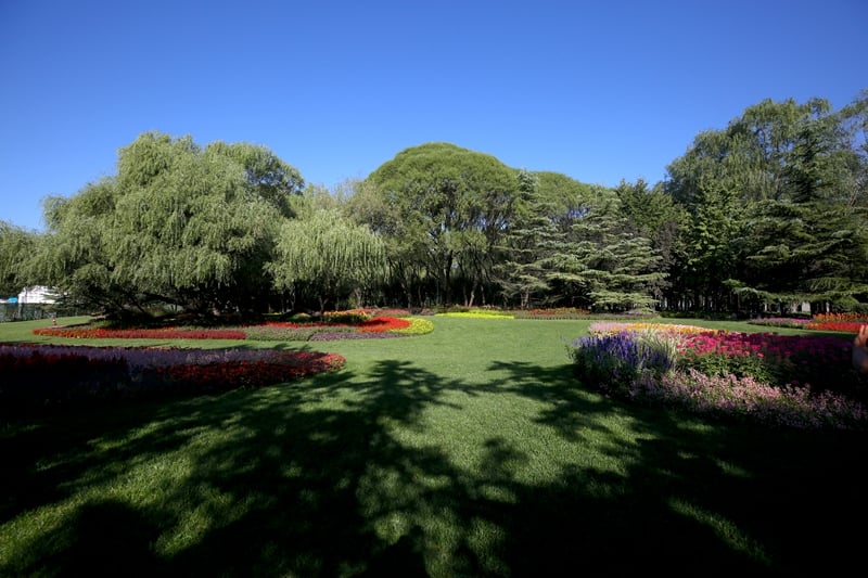 ��ʵ�����ֳ��� ��������������������԰���̻���Դ